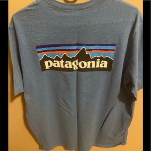 Mens T-Grayish / Blue Color